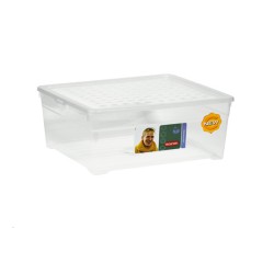 CAJA ORDEN ROPA/ZAPAT....