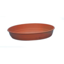 PLATO MACETA TERRACOTA...
