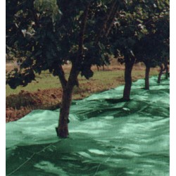MANTA RECOGER OLIVA/ALMENDR...
