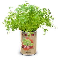 LATA CULTIVO SEMILLA...