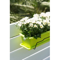 BALCONERA+SOPORTE PISTACHO...