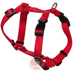 ARNES PERRO NYLON ROJO...