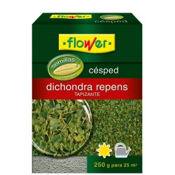 SEMILLA CESPED DIHONDRA REPENS