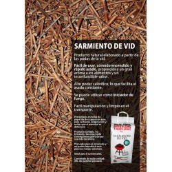 SARMIENTO DE VID  TODOBRASA